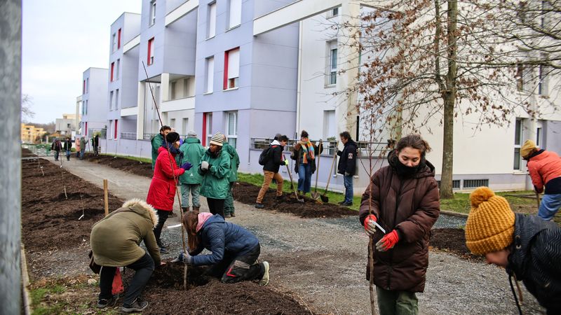 Une vingtaine de bénévoles sont venus prêter main forte aux jardiniers de la Ville de Nantes pour planter une centaine d’arbres le long de la rue du Haut-Launay, de part et d’autre de l’avenue de l’Aven. © Romain Boulanger